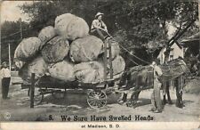 We Sure Have Swelled Heads Vintage Exaggeration Postcard ~ Madison South Dakota picture