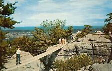 Chattanooga TN-Tennessee Swing Along Bridge Lookout Mountain Vtg Postcard A3 picture