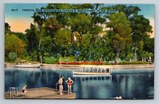 Tropical Park Overlooking Silver Springs Florida Vintage Unposted Linen picture