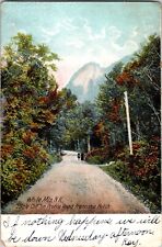 P55: POSTCARD   FRANCONIA NOTCH WHIE MOUNTAINS NH C1905 picture
