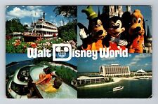 Orlando FL-Florida Disney World Vacation Kingdom the World Vintage Postcard picture