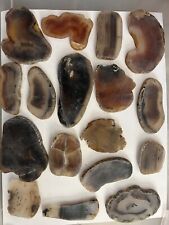 really old yellowstone Montana Moss  & Banded Agate Slab Lot slabs f picture