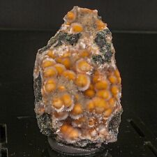 Thomsonite Orange Rare Find Natural Mineral Specimen # B 6821 picture