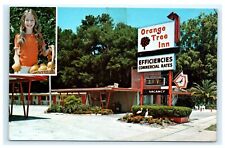 Orange Tree Inn Deland Florida FL Chrome Postcard B10 picture