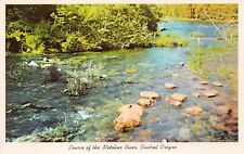 Metolius Springs River Camp Sherman OR Oregon Black Butte Vtg Postcard B16 picture