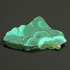 KCGS Small Malachite Slab, Africa, 84g, #1556 picture