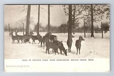 Battle Creek MI-Michigan, Deer in Park near Sanitarium, Vintage Postcard picture