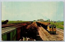 Postcard Trainload of Sugarcane, U.S. Sugar Corporation, Clewiston, Florida E9 picture