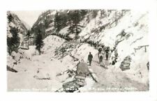 Vintage Reprint RPPC Old Wagon Road Site Of White Pass RR Skagway AK P295 picture