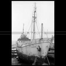 1956 Photo B.000201 MS THERON AFTER COMMONWEALTH TRANS-ANTARCTIC EXPEDITION picture