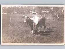 c1910 Handsome Young Boy Holding Cow Cattle RPPC Real Photo Postcard picture