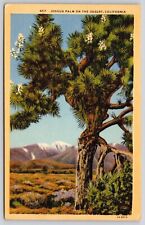 Joshua Palm Desert California Snowcapped Mountain Linen Cal Linen VNG Postcard picture