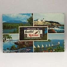 Beautiful State Of Maine Vintage Postcard picture