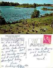 Vintage Postcard - The Bird Sanctuary at Alpena Michigan America, Rare Birds picture