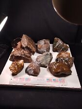 Huge Lot Of 20+ Lbs Rough Oregon Jasper Mixed.Cabbing, Lapidary,Display.Lot # 6. picture