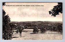 Amherst MA-Massachusetts, Amherst College, Pelham Hills Vintage Postcard picture