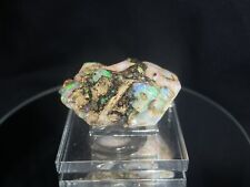Opalized Wood. Petrified Wood And Opal Nevada. Precious Fire Color. Display. picture
