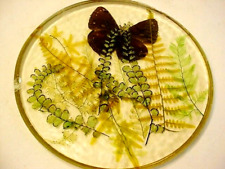 VTG Acrylic Lucite Hotplate Clear Green Ferns Butterfly 8” MCM Round Hot Pad FrS picture