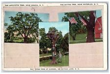 1925 Multiview Of Trees Geneva New York NY Posted Antique Postcard picture