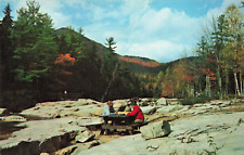 White Mountains NH, Kancamagus Highway Picnic Area, Vintage Postcard picture
