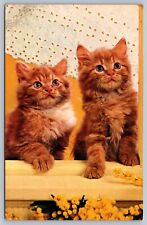 Postcard Two Cute Kittens 