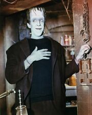 Fred Gwynne The Munsters 24x36 inch Poster picture