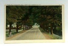 Tannersville Pennsylvania PA Along Lackawanna Trail Vintage Postcard picture