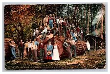 Postcard Stockton California 1910 Logging Camp Portrait picture