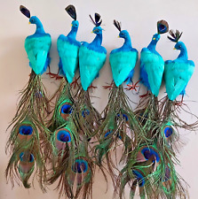 Rare 6 Vintage Peacock Birds Ornaments Real Natural Feathers - Large / Long  16