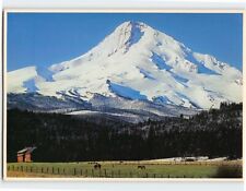 Postcard An early April morning's sun, Mount Hood, Oregon picture
