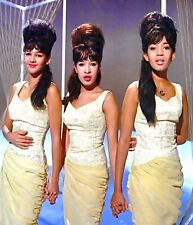 Ronnie Spector &The Ronettes Retro Girl Band Picture Poster Photo Print 13x19 picture