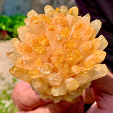 287G   New Find yellow Phantom Quartz Crystal Cluster Mineral Specimen Hea picture
