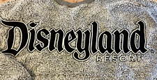 Disneyland Resort Spirit Jersey Hoodie Size Medium Gray Pullover Puff Print B3 picture