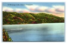 Postcard Watauga Lake, Eastern Tennessee linen unused W28 picture