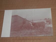 DONNELLSON IOWA - THREE 1907-1920'S ERA REAL-PHOTO POSTCARDS - FARMING - LADIES picture