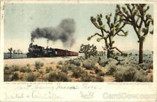 Railroad 1906 The California Limited On The Desert Detroit Photographic Co. picture