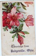 1909 Postcard Greeting from Dodgeville, OH to Wakeman, OH Pink Flowers ~ PC2G picture