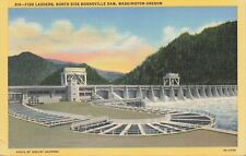 Fish Ladder North Side Bonneville Dam Washington Oregon 1940s Postcard picture