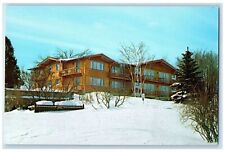 c1960s White Birch Lodge Otsego Ski Club Gaylord Michigan Unposted Tree Postcard picture