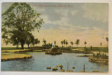 Vintage Postcard, Lily Pond, Belle Isle, Detroit, Michigan, Undivided Back picture