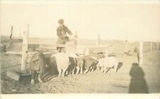 RPPC Postcard C-1910 Farmer rural life feeding pigs Shadow 23-4602 picture