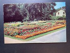 Hartford Connecticut CT Postcard Flower Garden Elizabeth Park Posted 1956 picture