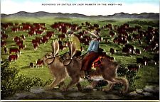 Postcard Wyoming Jackrabbits Exaggeration Cowboys Rounding Up Cattle B12 picture