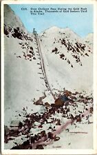 Vtg Alaska AK Over Chilkoot Pass Gold Rush Trail Postcard picture