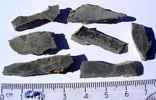 all 13 grams Alamo meteorite Impact Breccia from Nevada - unpolished slices picture