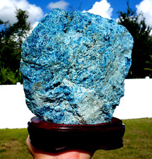 XXL Natural BLUE APATITE Crystal on Custom Wood Base Brazil Specimen For Sale picture