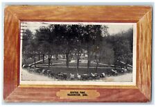 1908 Central Park Horse Carriages Washington Iowa IA Posted Vintage Postcard picture