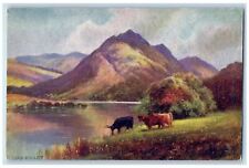 c1910 Loch Arklet Bulls Scene Through The Trossachs Oilette Tuck Art Postcard picture