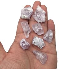 52 Grams, 8pcs Natural Rough Lavender Pink Kunzite Crystal @Afghanistan,KUN99 picture