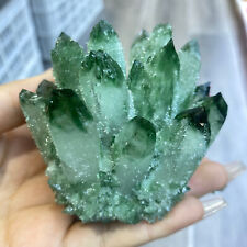 300g+New find green Phantom Quartz Crystal Cluster Mineral Specimen Gem picture